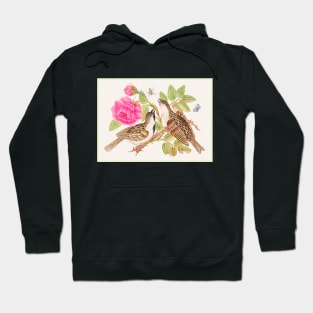 Pair of Brown Birds on Rose Stem with Butterfly and Spider (18th Century) Hoodie